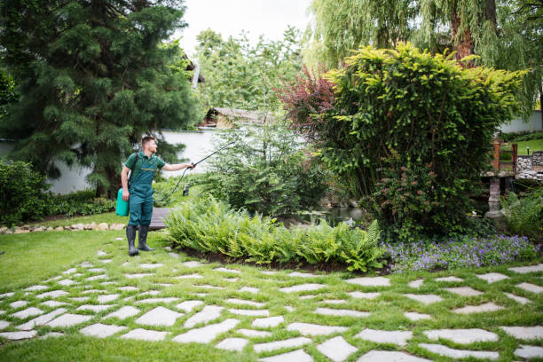 Best Pest Control Cost  in Lexington, WA