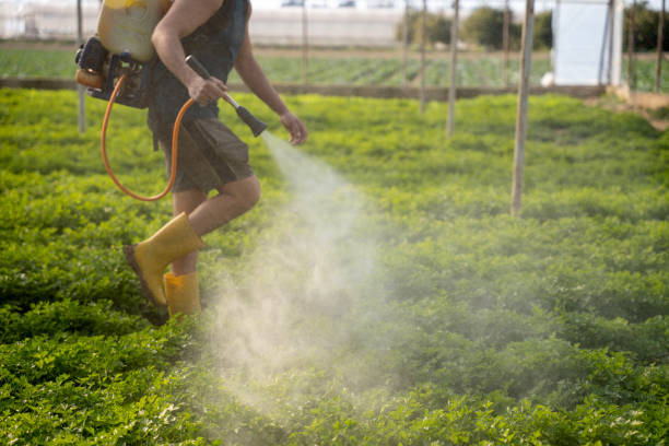 Pest Control Cost in Lexington, WA