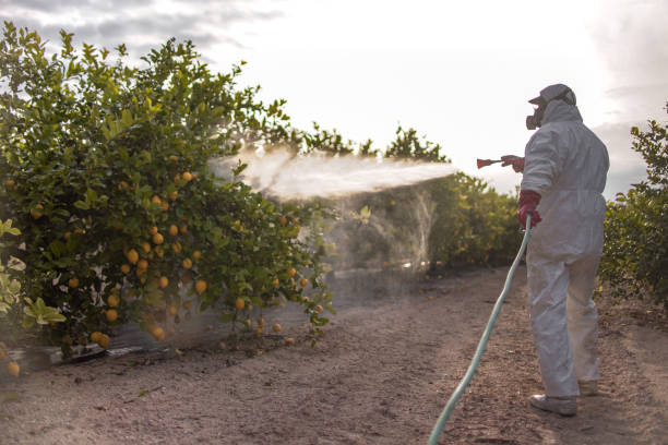 Best Pest Control Near Me in Lexington, WA